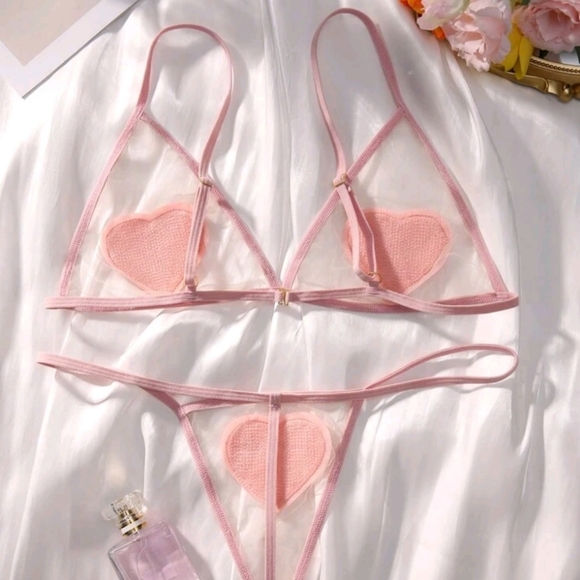 NWOT Pink Pastel Heart Sheer Panty Bra Lingerie Sexy G-string - Picture 5 of 5